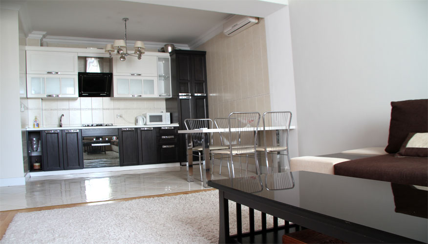 Armeneasca Apartment is a 2 rooms apartment for rent in Chisinau, Moldova